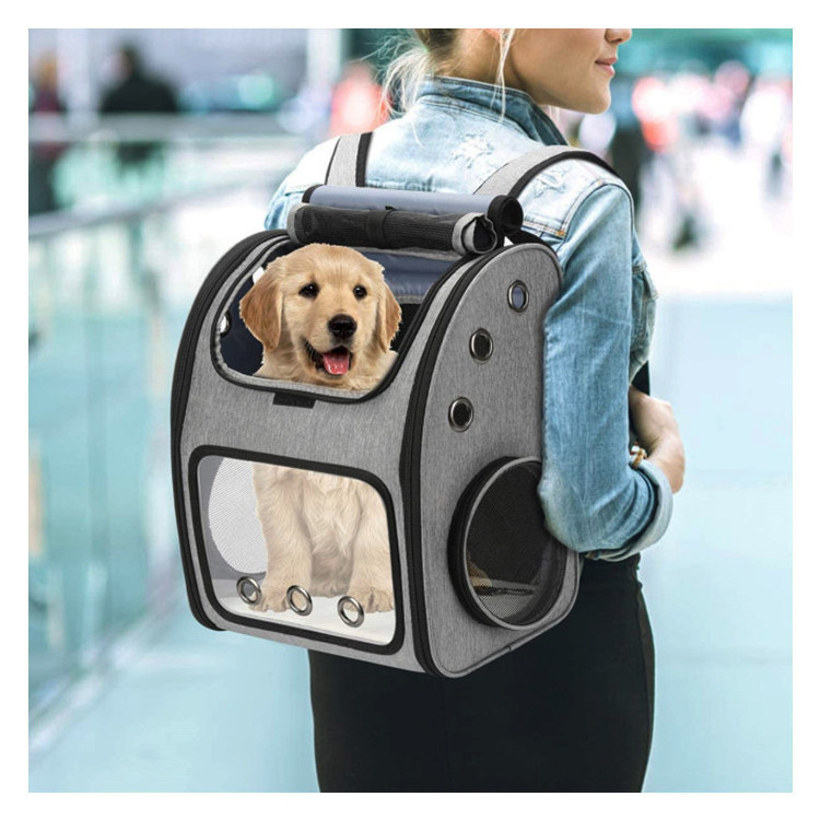 New Foldable Cat Bag Portable Expandable Four Seasons Pet Bag Travel Cat and Dog Shoulder Pet Backpack