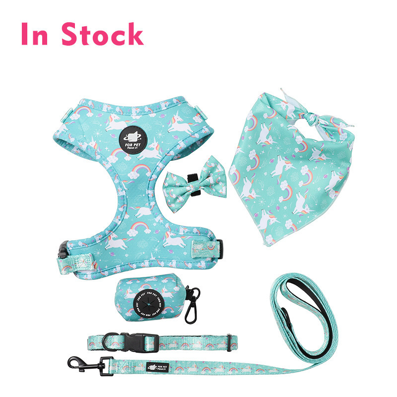 Custom Pet Accessories Private Label Customized Dog Harness And Leash Printing Luxury Designer Own Custom Small Dog Harness Set