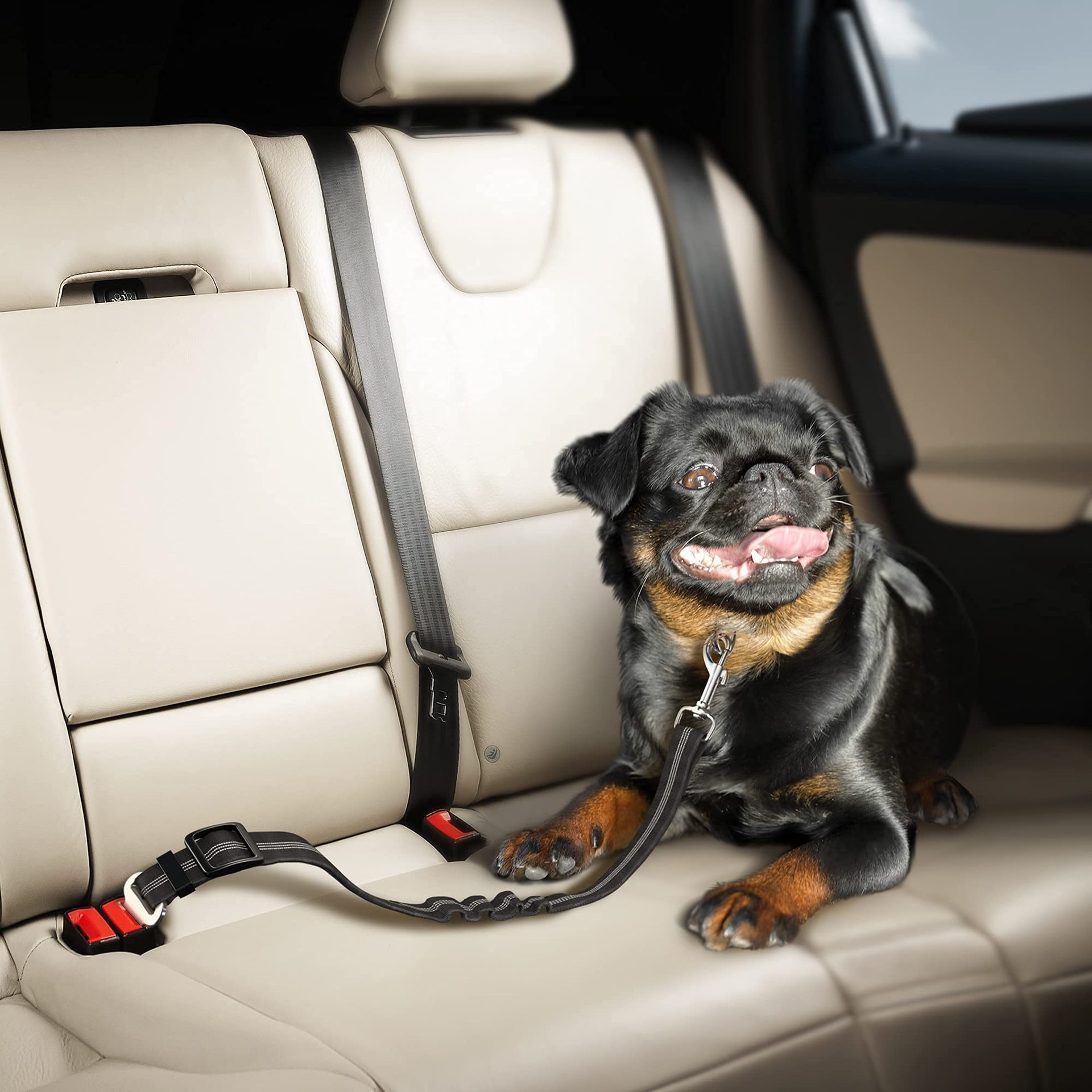 Pet Dog Car Seat Belt Pet Car Accessories Retractable Dog Buckle with Portable Bowl