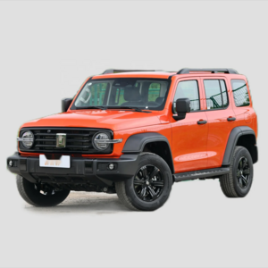 2023 and 2024 best-selling gasoline 2.0T Great Wall Tank 300 Conqueror affordable compact SUV new and used car for sale