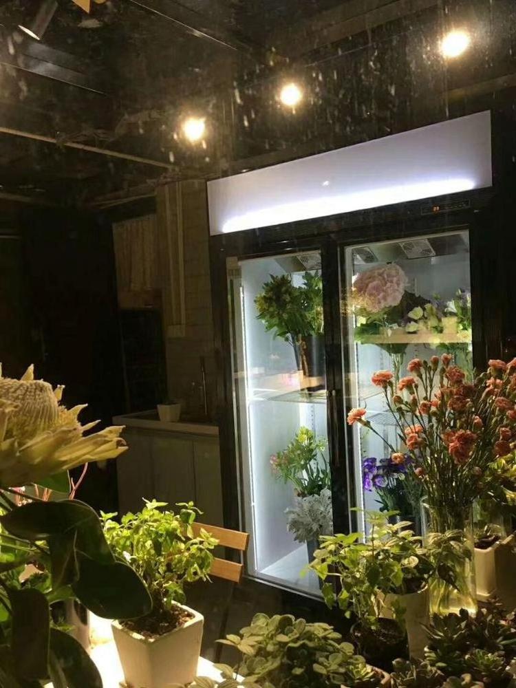 Commercial Upright Double Glass Door Display Cooler  for Flower Shop