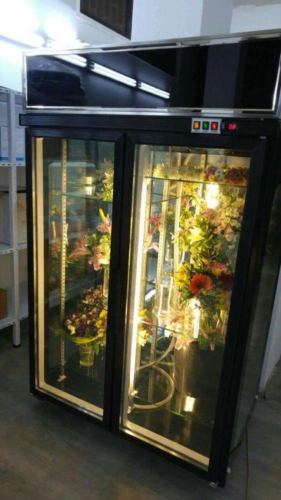 Commercial Upright Double Glass Door Display Cooler  for Flower Shop