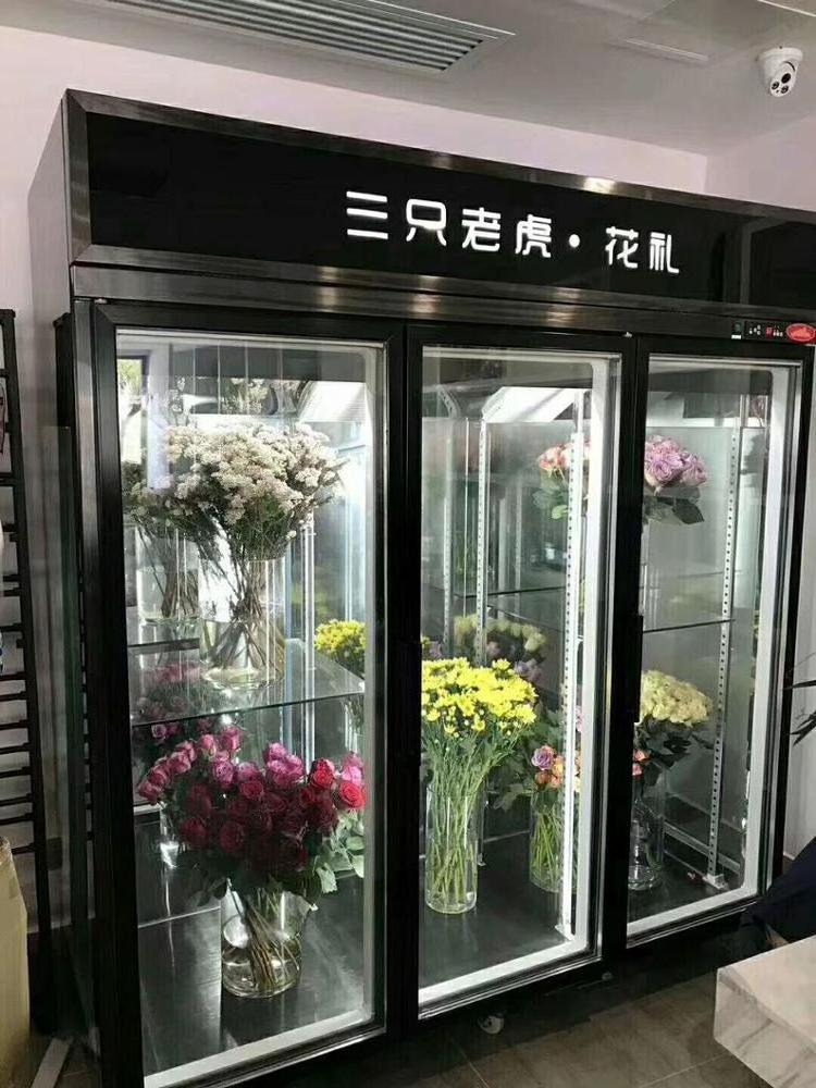 Commercial 4 Glass Door Display Refrigerator for Flower Shop