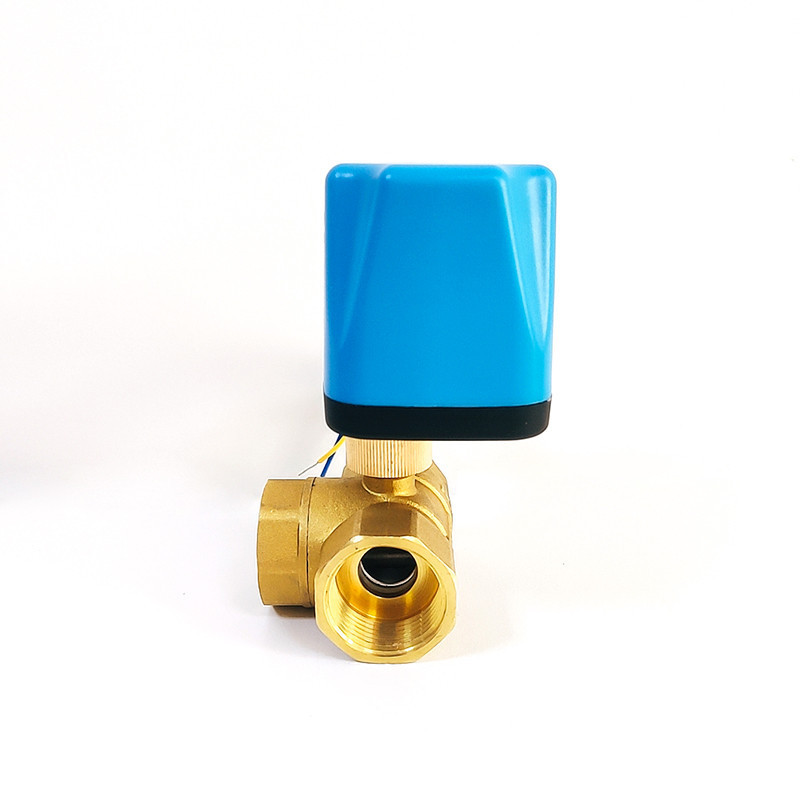 DN15 DN20 DN25 3 Way 110V 220V 12V 24V 2-wire Brass Electric Motorized  Ball Valve Normally Closed/Open Waterproof IP52