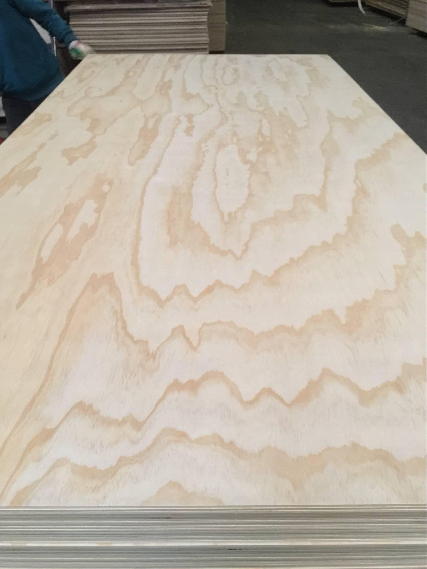 High Quality Poplar and Pine Laminated Veneer Plywood Wood