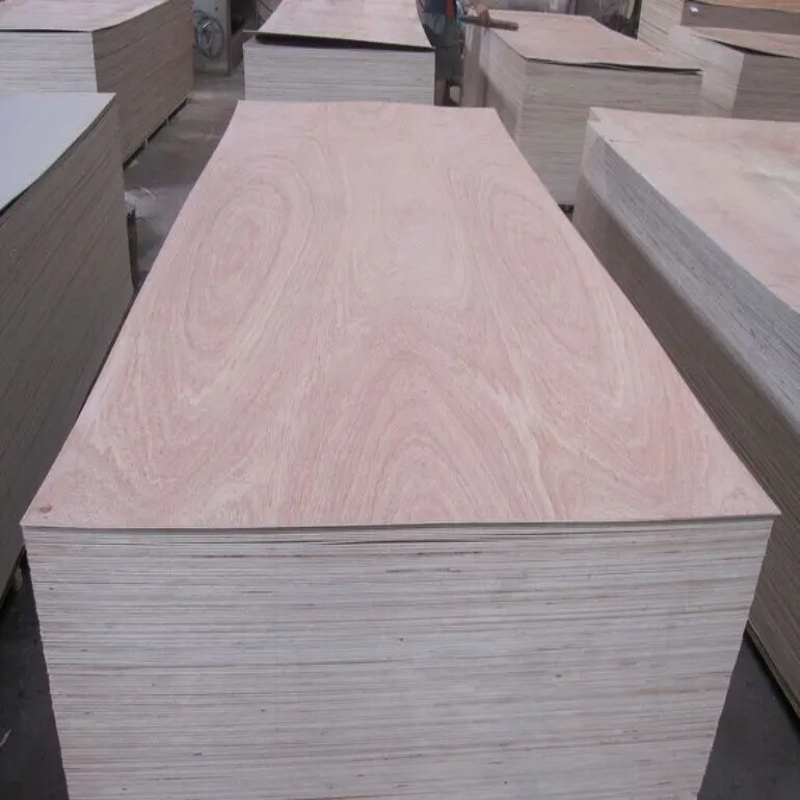 Sapele Wholesale Price 3mm 4mm Natural Sapele Veneered Plywood 1220*2440mm