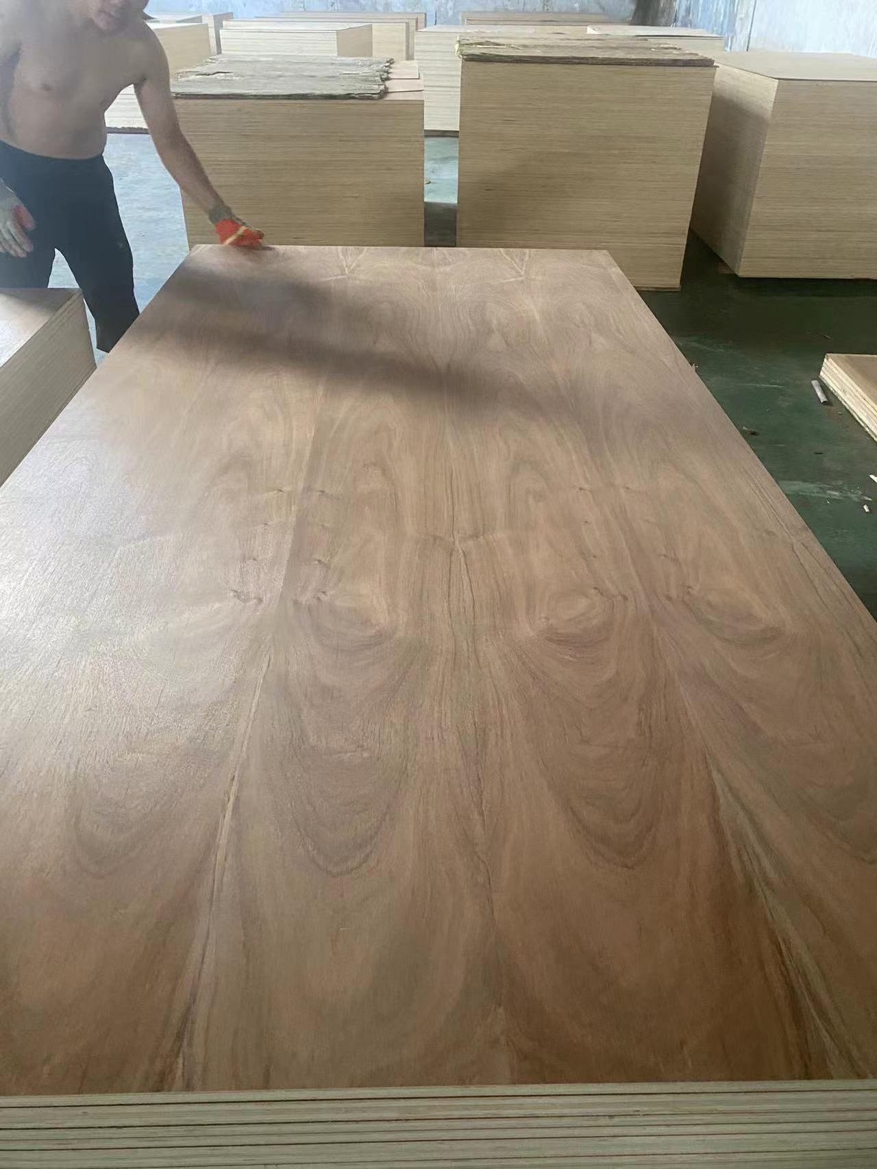 3mm, 5mm, 6mm, 9mm, 12mm, 18mm red oak ash okoume pine natural veneer plywood for construction furniture plywood