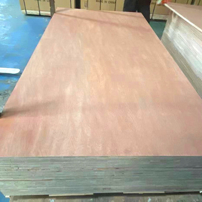 Poplar/Red Oak/Pine Wood Lumber/Hardwood 1220*2440Mm Plywood For Furniture