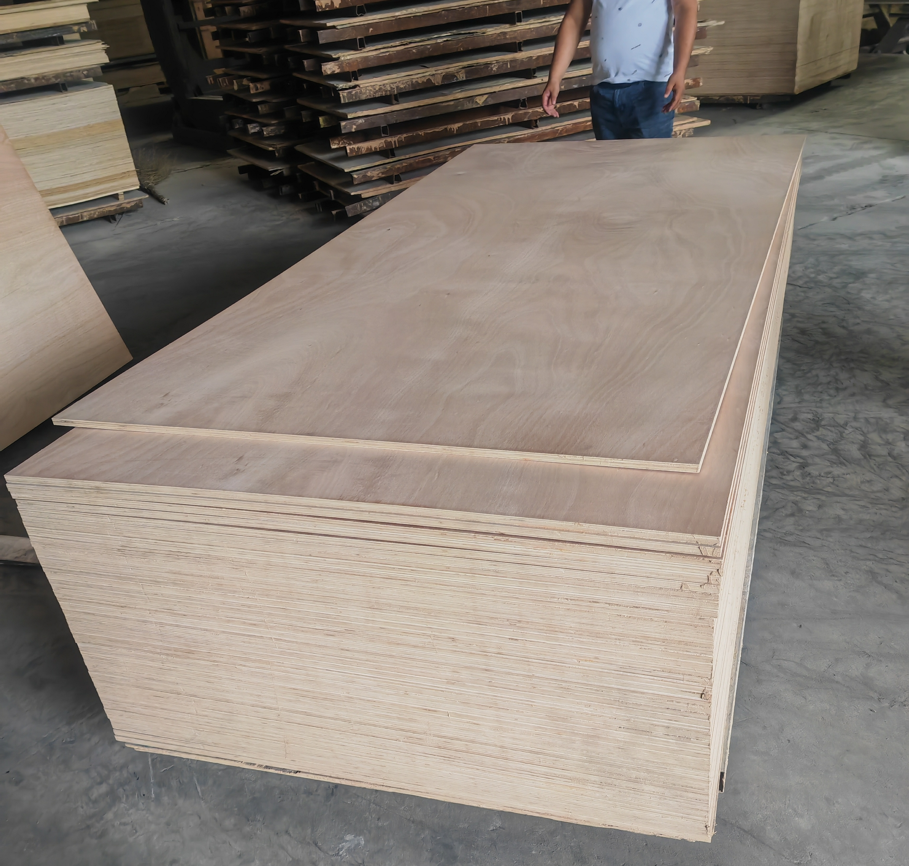 plywood manufacture 12mm 16mm 18mm 22mm plywood sheet 4x8 plywood