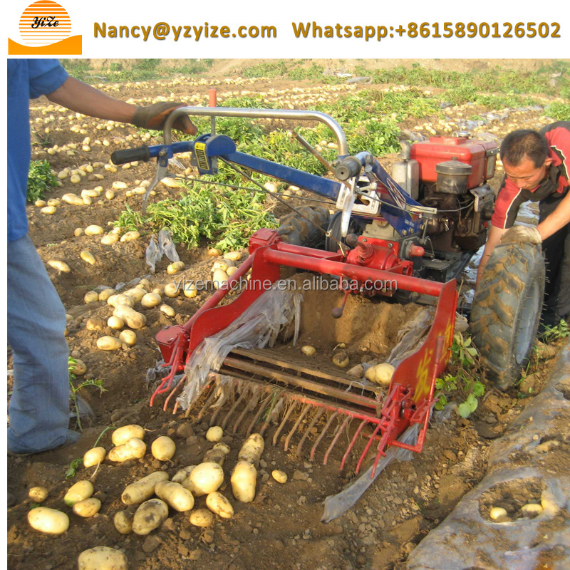 Factory Supply Widely Used 1 Row Potato Harvester Price Potato Digger for Sale