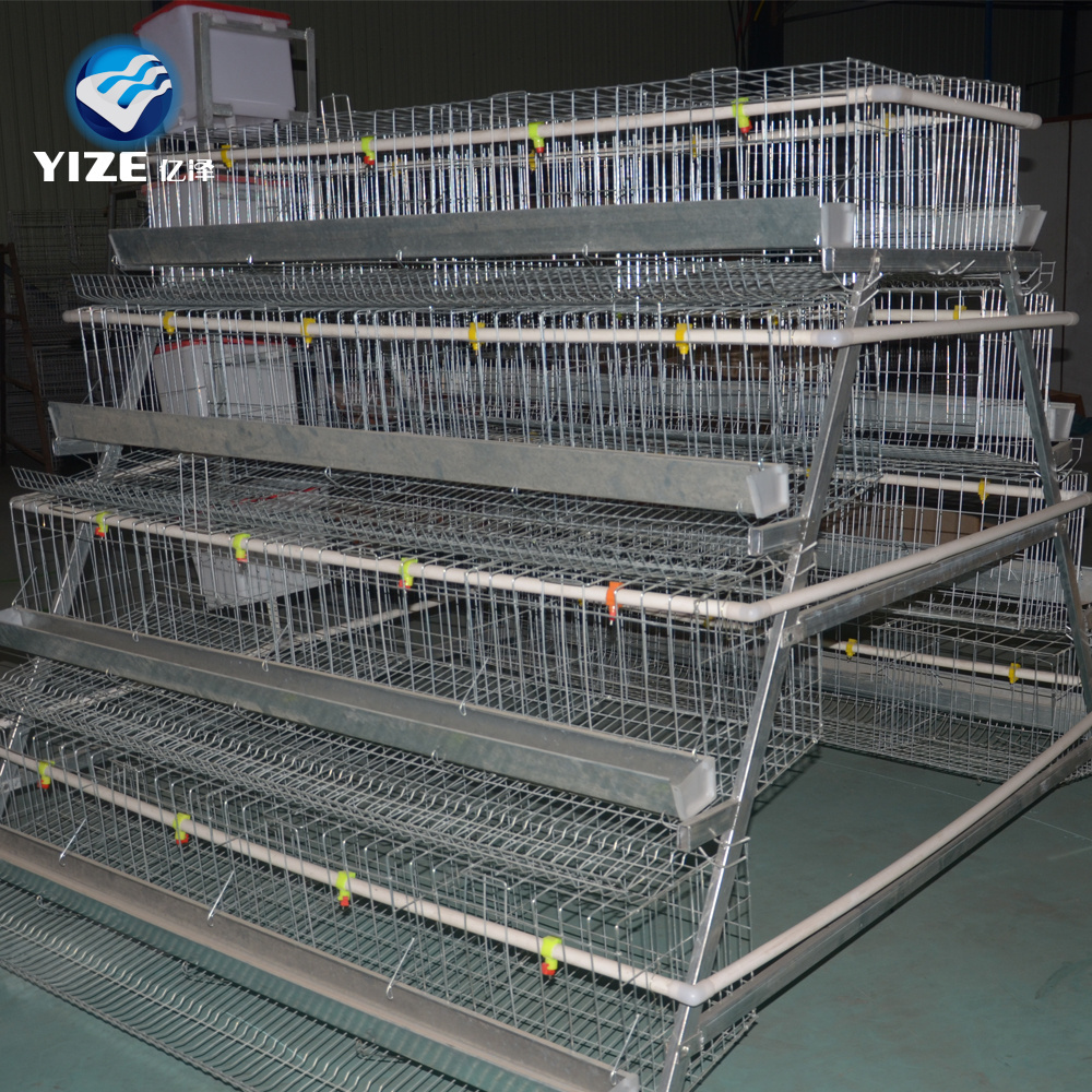 Farm Used Chicken Cages/layer Cheap Chicken Coops for Sale Competitive Price 10 Sets Cage Wooden Box or as Your Request Provided