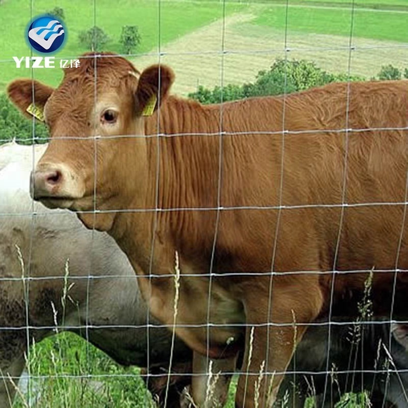 Angus Cattle Used Corral Panels Field Fence New Export to Australia Zealand  USA Pvc Coated Fencing