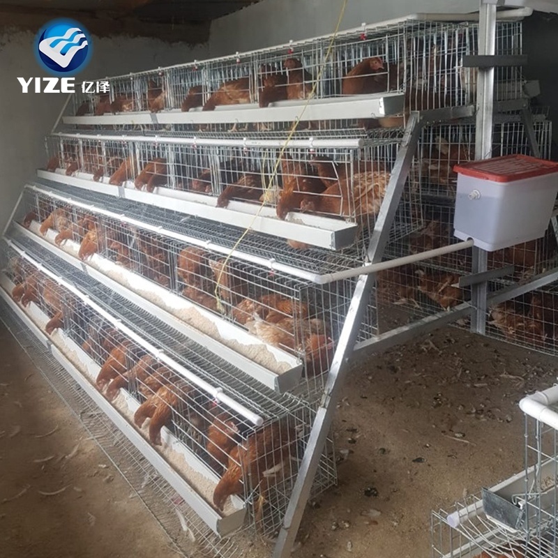 Large Rooster Pen Extra Chicken Cages in Zimbabwe Chicken Supplies Chicken Coop and Run Portable Nest House