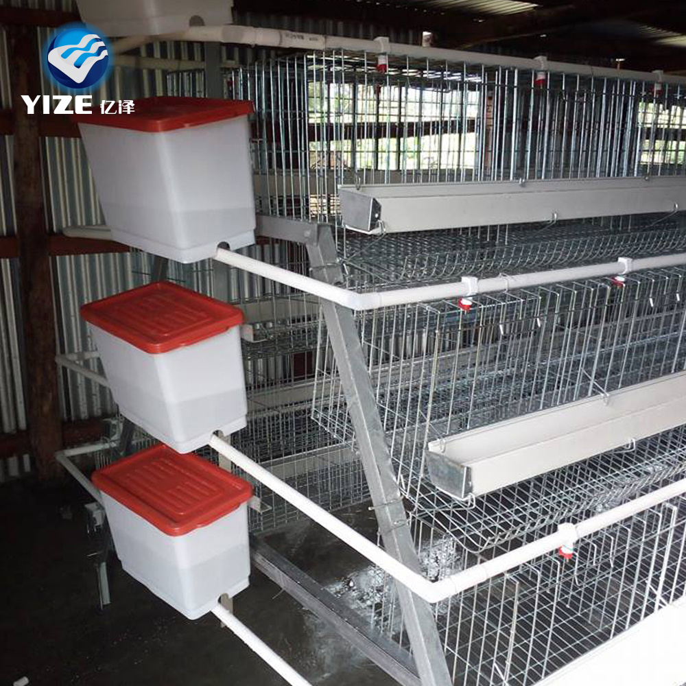 Farm Used Chicken Cages/layer Cheap Chicken Coops for Sale Competitive Price 10 Sets Cage Wooden Box or as Your Request Provided