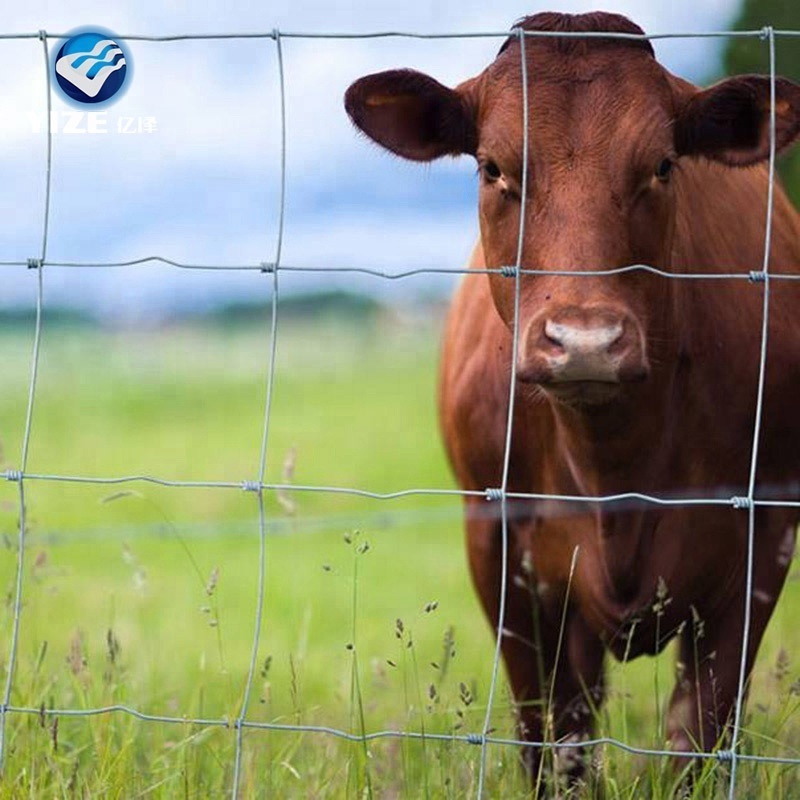 Angus Cattle Used Corral Panels Field Fence New Export to Australia Zealand  USA Pvc Coated Fencing