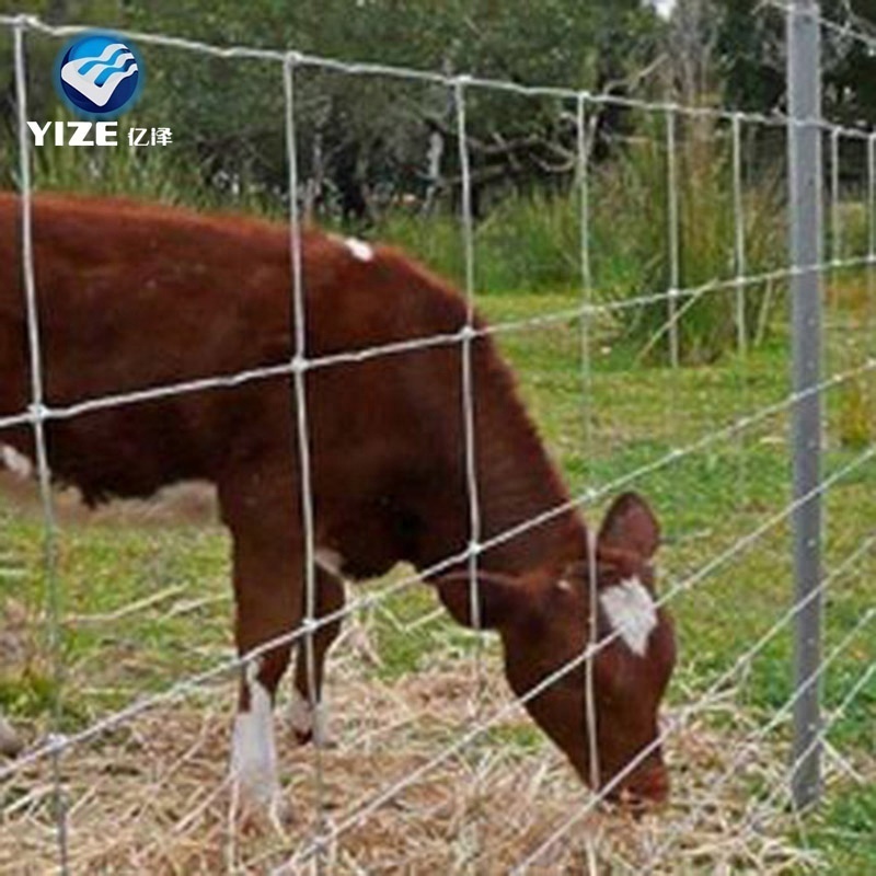 Angus Cattle Used Corral Panels Field Fence New Export to Australia Zealand  USA Pvc Coated Fencing