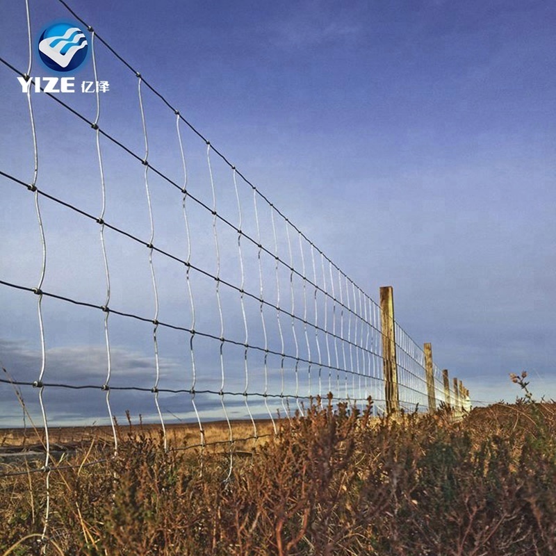 Angus Cattle Used Corral Panels Field Fence New Export to Australia Zealand  USA Pvc Coated Fencing