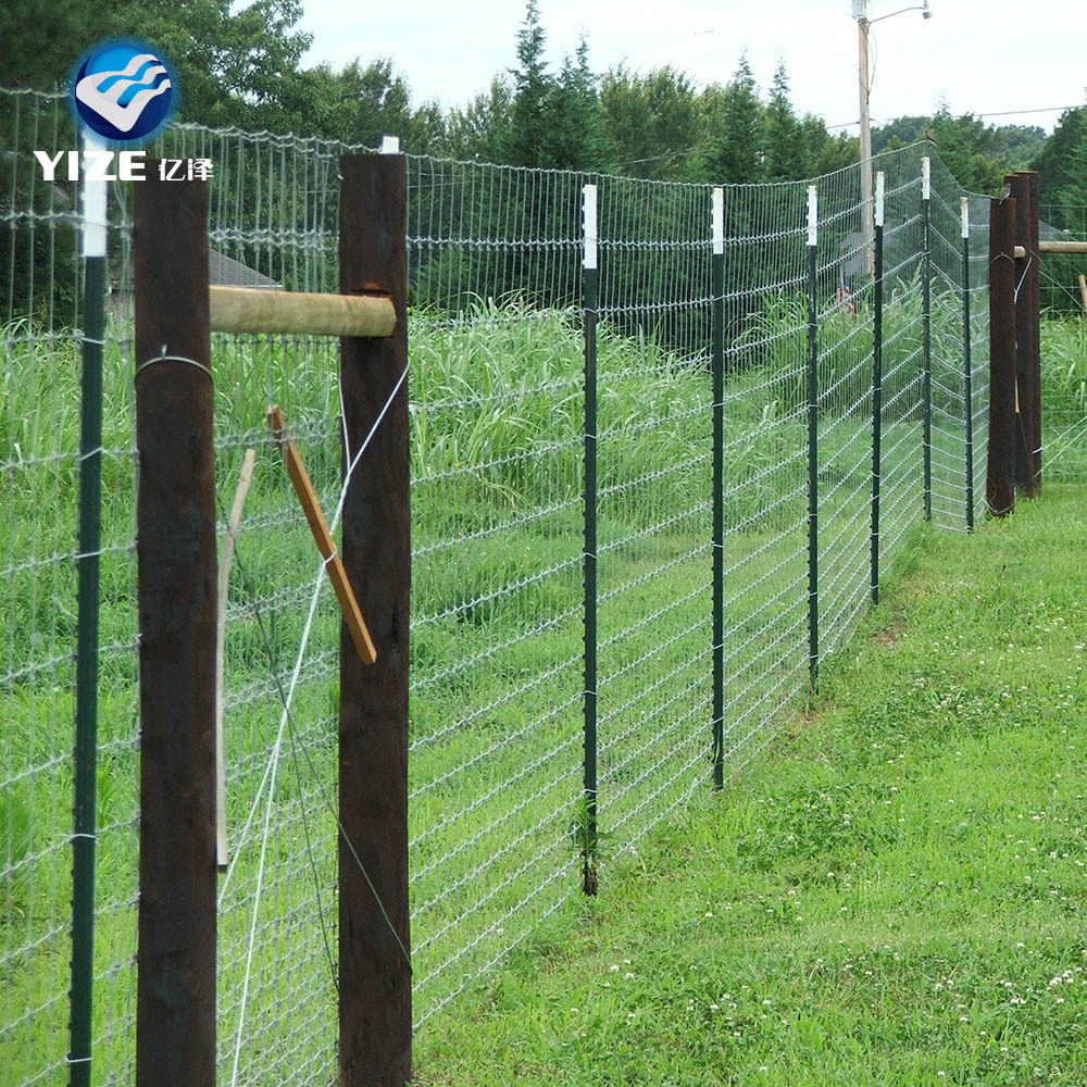 heavy duty zinc coating fixed knot woven wire field game fence