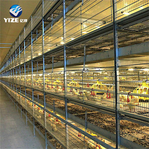 Conveyor Belt Design Broiler Cage For Broiler Cage Kenya Farm