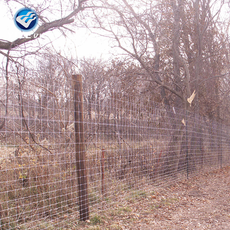 Popularly wanted cattle panels in fencing as dairy farm equipment