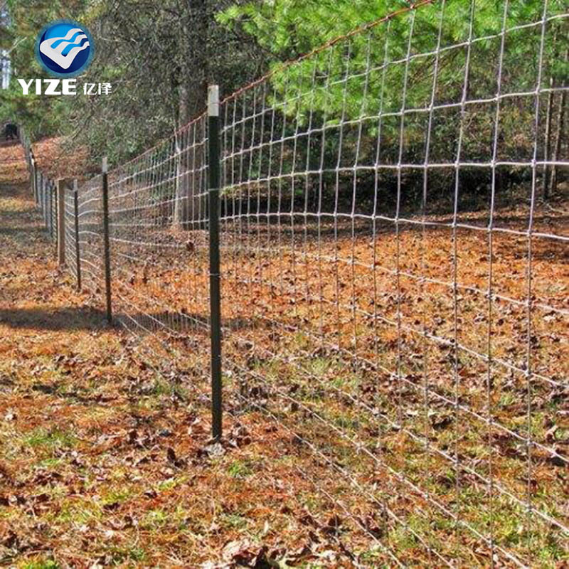 Popularly wanted cattle panels in fencing as dairy farm equipment