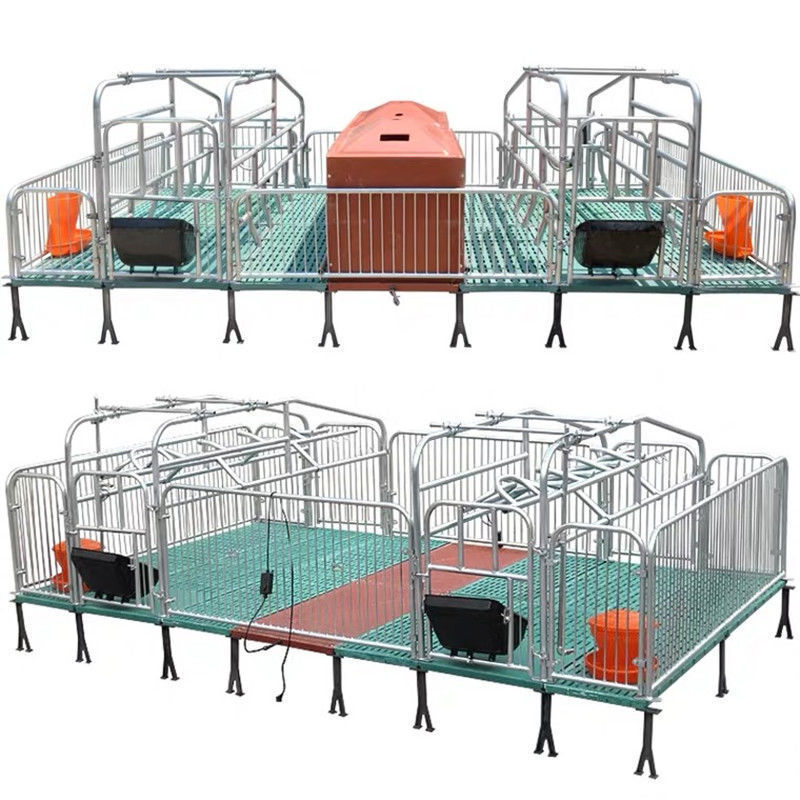 2022 Hot Sale Breeding Stalls Of Galvanized Pig Cage Swine Farm Equipment  Sow Farrowing Crate