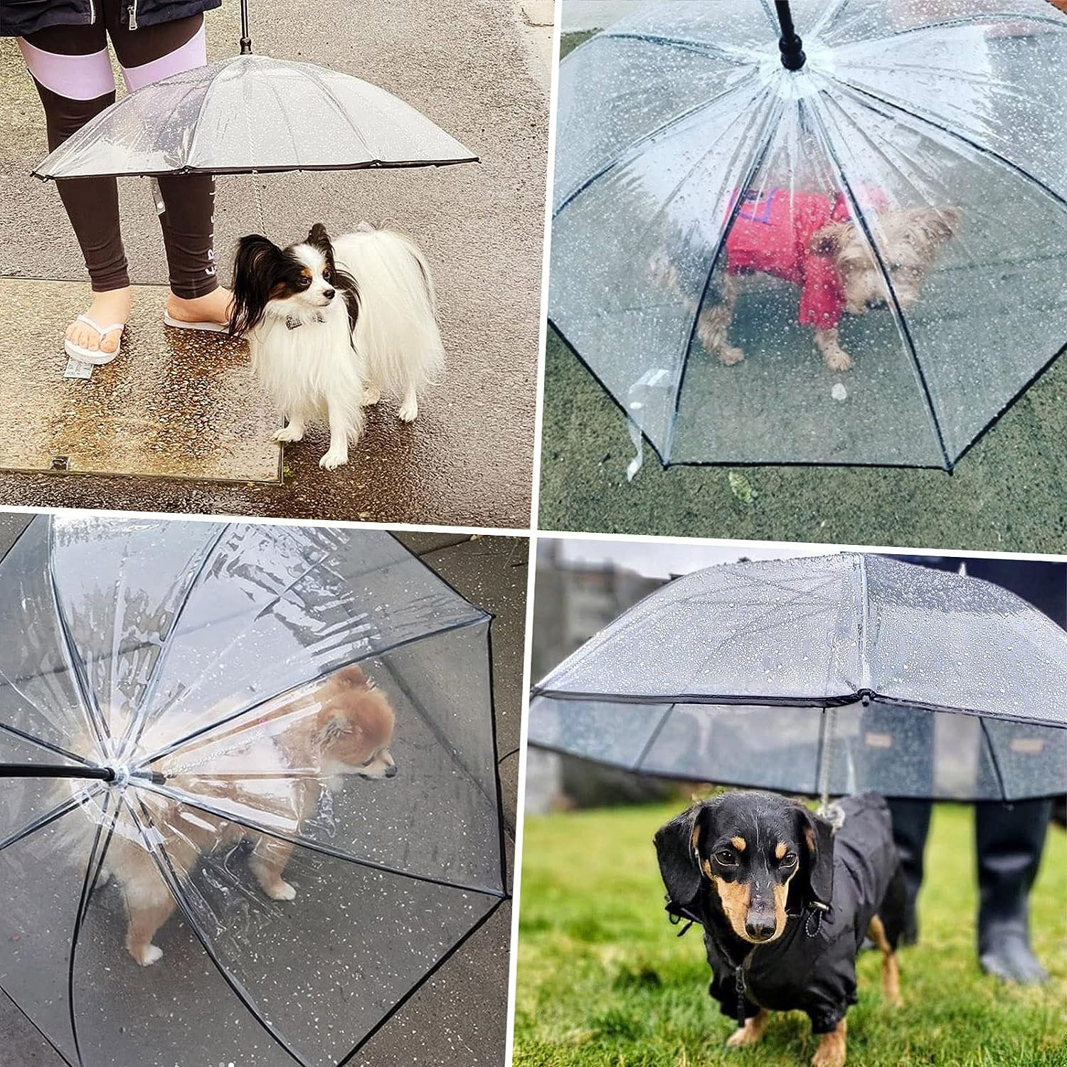 Hot Sale PetLike  Transparent clear waterproof pet rain dog cat umbrella with leash