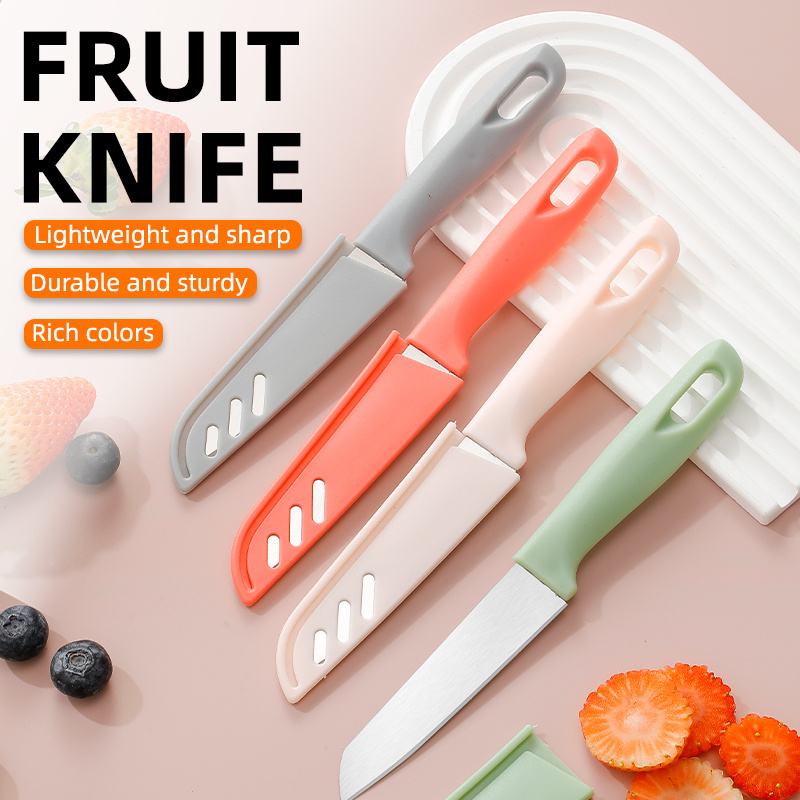 Wholesale Colorful Handle Stainless Steel Fruit Paring Knife with Plastic Handle