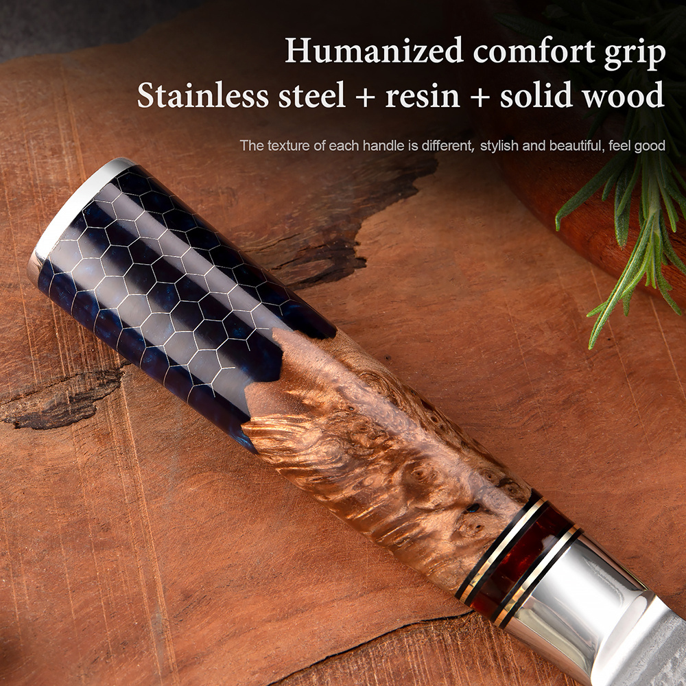 Kitchen Knives Set 67 Layer Damascus Steel Chef knife Sharp Cut Meat Vegetables Kitchen Utility Blue Resin Handle 1-9 PCS