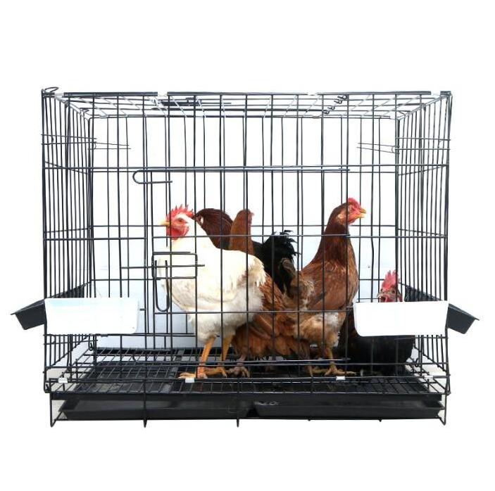 Good Price Design Layer Poultry Pig Birds Poultry Farm Equipment Chicken Cage Coop