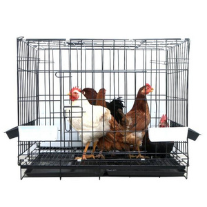 Good Price Design Layer Poultry Pig Birds Poultry Farm Equipment Chicken Cage Coop