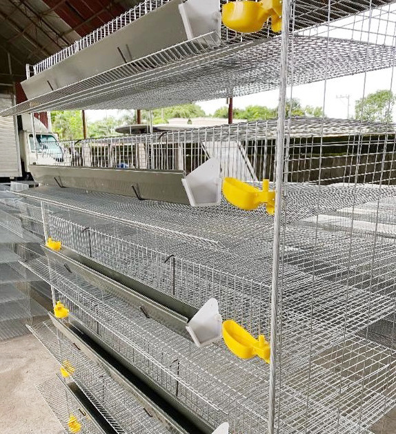 Hot Sale Layer Quail Cages / Commercial Quail Layer Cage