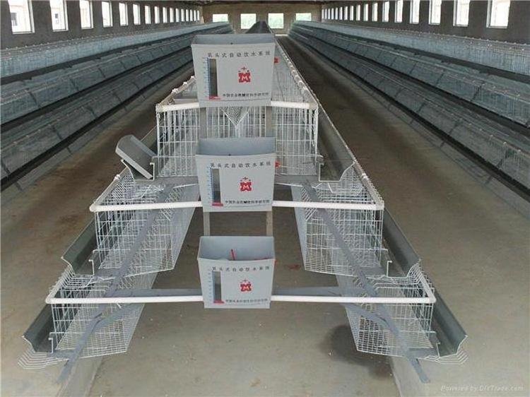 Automatic Battery H Type 4 Tiers Bird-Harvesting Broiler Raising Cage for Layer Chicken Raising Poultry Farm/Farming Equipment