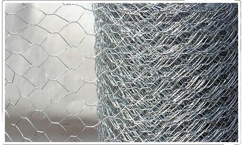 Manufacturer wholesale 20GP chicken coop iron wire mesh galvanized hexagonal wire netting