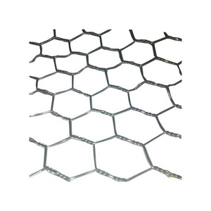 Manufacturer wholesale 20GP chicken coop iron wire mesh galvanized hexagonal wire netting