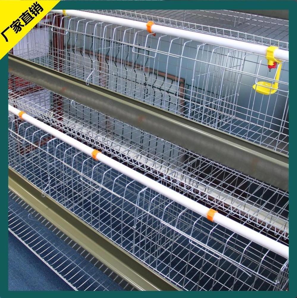 Automatic Battery H Type 4 Tiers Bird-Harvesting Broiler Raising Cage for Layer Chicken Raising Poultry Farm/Farming Equipment