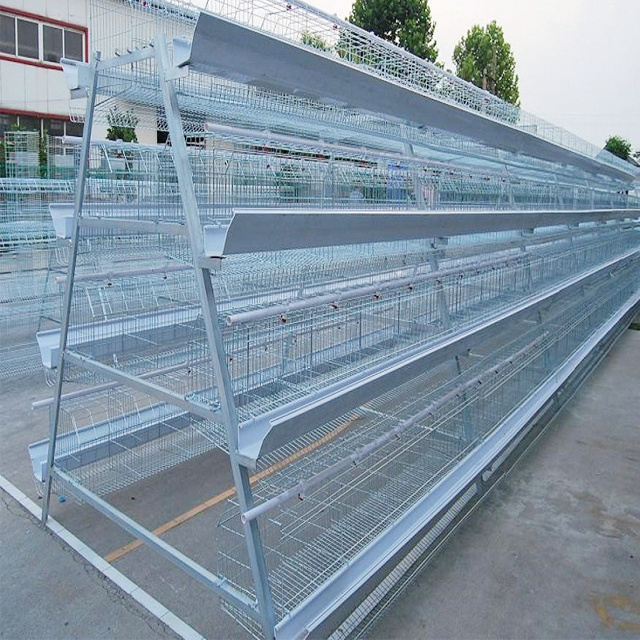 poultry cages for layer chickens for 5000 birds cages for chickens carrier