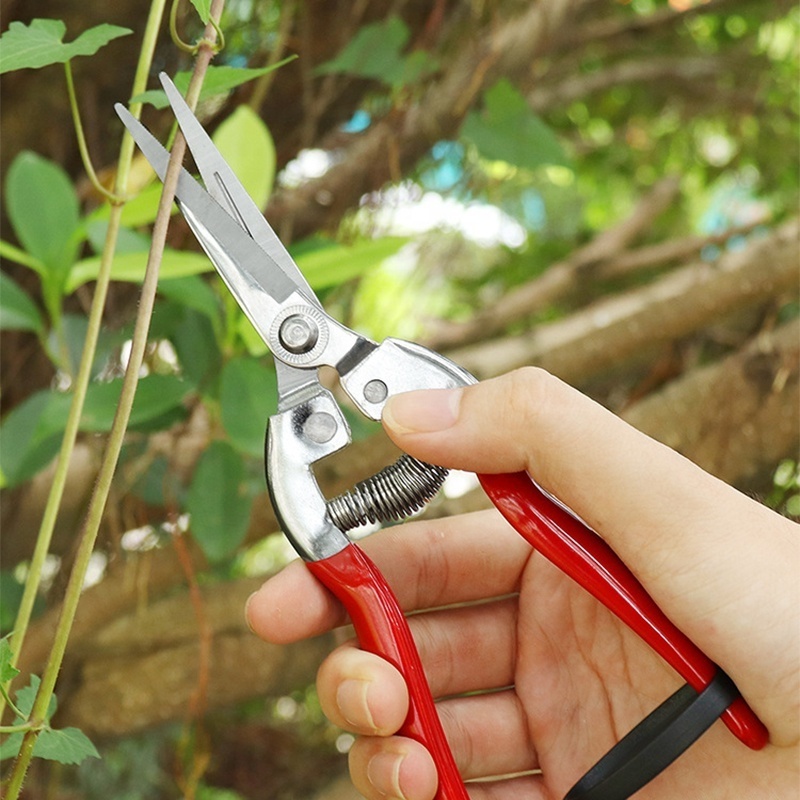 Garden Tools Secateurs Bonsai Shears Gardening Scissor Pruning Tool Hand Cutter Grape Fruit Picking Weed Household Potted