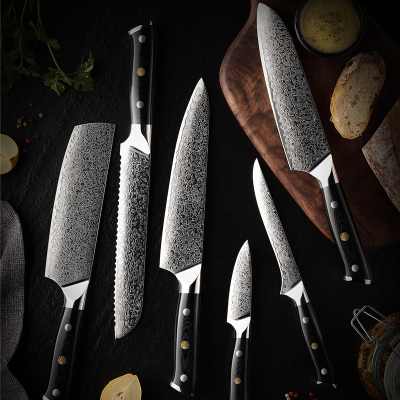 13 pcs Japanese 67 Layers Damascus Steel Kitchen Chef Knives Sets with Black G10 Handle