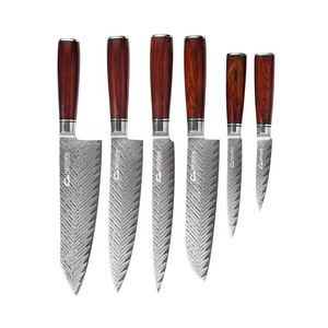 Rose wood Japanese AUS-10 67 layers 6pcs damascus knife sets for kitchen