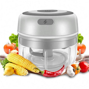 Wireless Mini Electric Garlic Masher Vegetable Fruit Meat Mini Garlic Chopper Food Blender