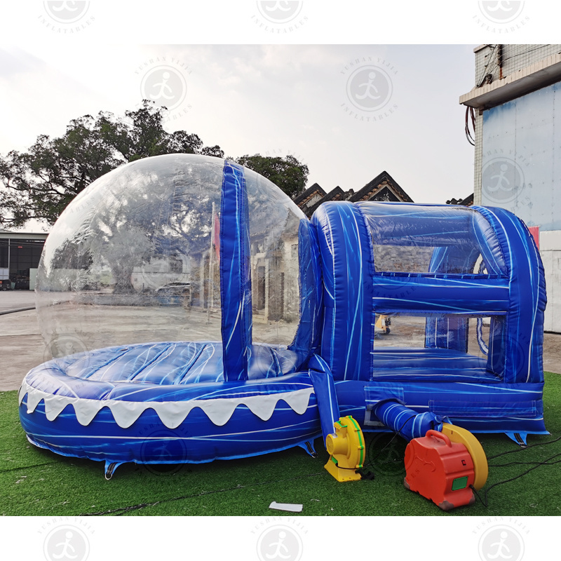 Wholesale Customized Outdoor Decoration Christmas Inflatable Snow Globe With Blowing Snow Photo Booth For Sale