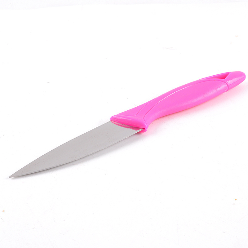 Cheap Fruit Knife with Sheath Paring Knives Peeling Knives Vegetable Cutter Stainless Steel with PP Sheath for Home Use Metal