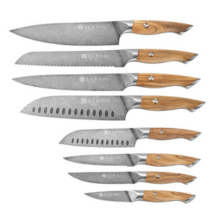 Professional supplier pakistan wholesale damascus best chef knife in the world steel chef knives