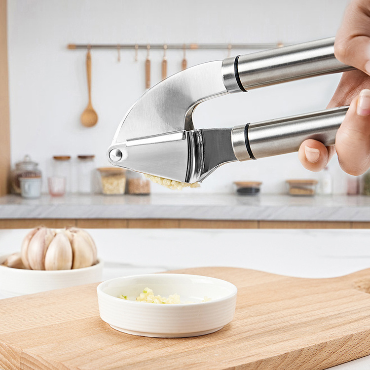 Stainless Steel Multifunctional Garlic Press Rocker Garlic Press