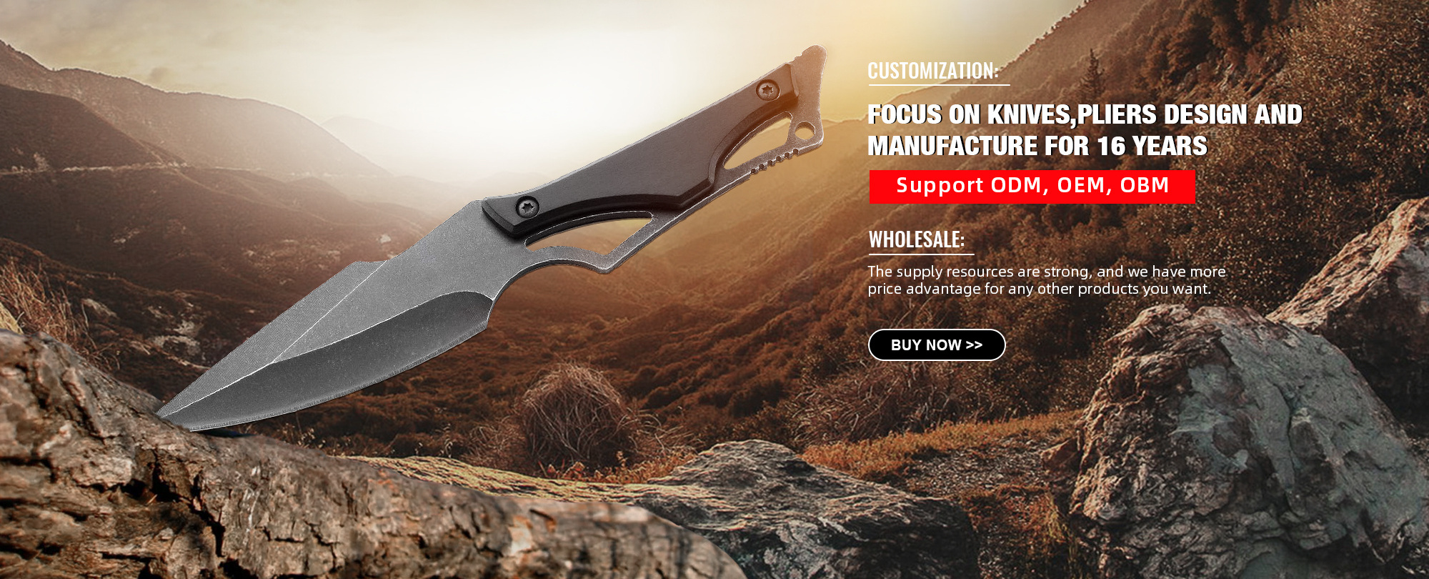 Wholesale X50 Blank Blade Camping Survival Pocket Hunting Titanium Folding Knife With Shadow Wood Handle