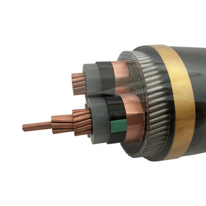 Medium Voltage Power Cable with Copper Conductor Aluminum Insulated Steel Wire Armour XLPE PVC Pe Insulation for Construction