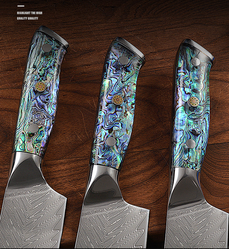 Yangjiang knives set 67 layers damascus steel knives professional VG10 knife damascus with conch resin handle