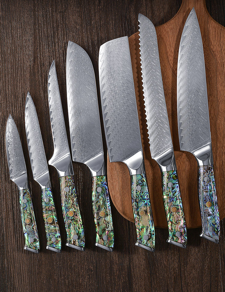 Yangjiang knives set 67 layers damascus steel knives professional VG10 knife damascus with conch resin handle