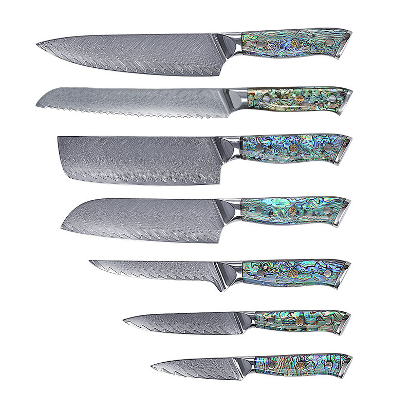 Yangjiang knives set 67 layers damascus steel knives professional VG10 knife damascus with conch resin handle